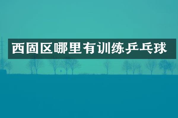 西固区哪里有训练乒乓球