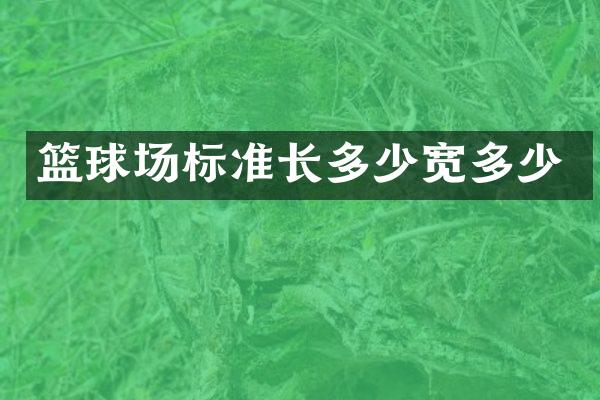 篮球场标准长多少宽多少