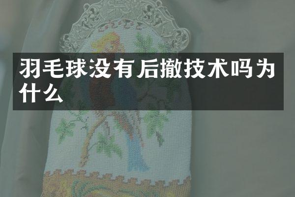 羽毛球没有后撤技术吗为什么