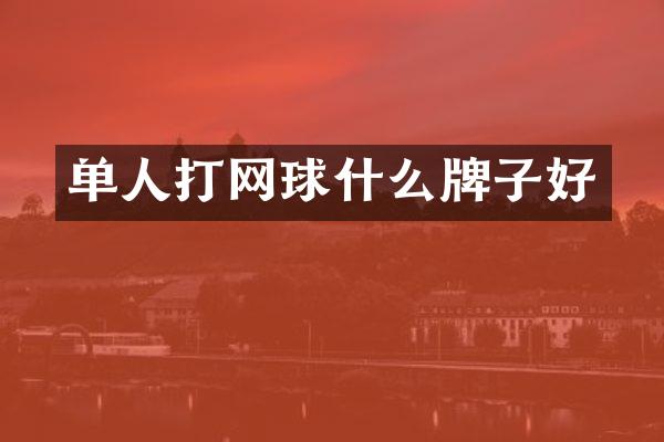 单人打网球什么牌子好