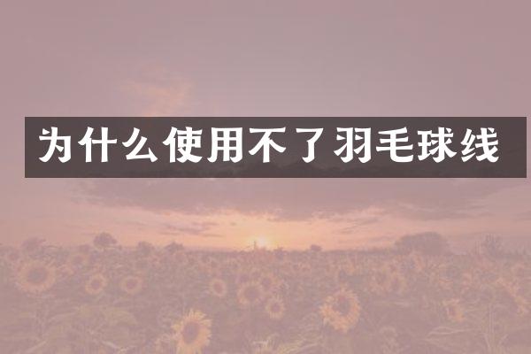 为什么使用不了羽毛球线
