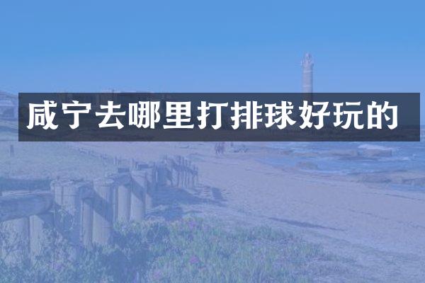咸宁去哪里打排球好玩的
