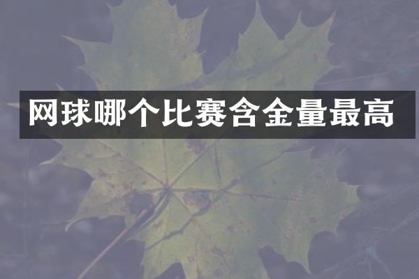 网球哪个比赛含金量最高