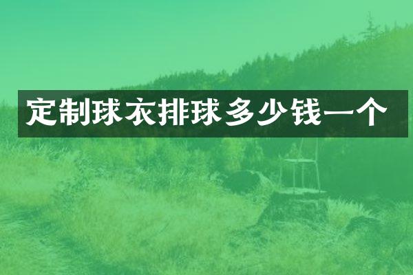 定制球衣排球多少钱一个