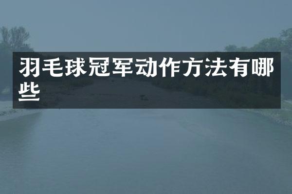 羽毛球冠军动作方法有哪些