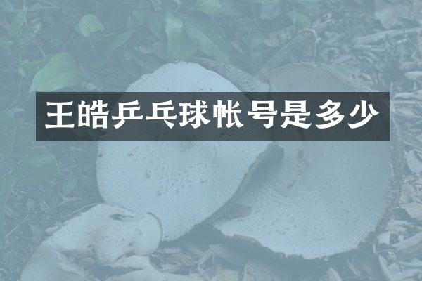 王皓乒乓球帐号是多少