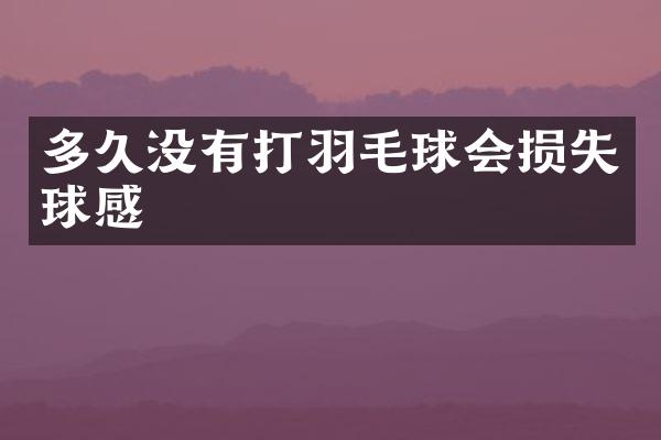 多久没有打羽毛球会损失球感
