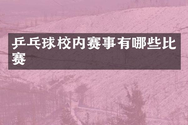 乒乓球校内赛事有哪些比赛