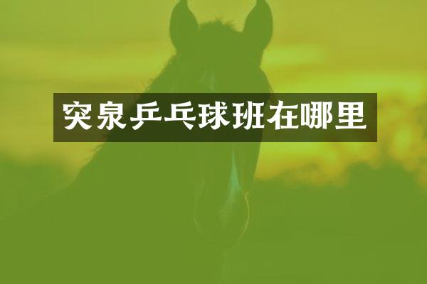 突泉乒乓球班在哪里