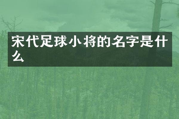 宋代足球小将的名字是什么