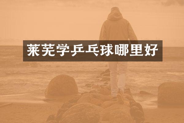 莱芜学乒乓球哪里好