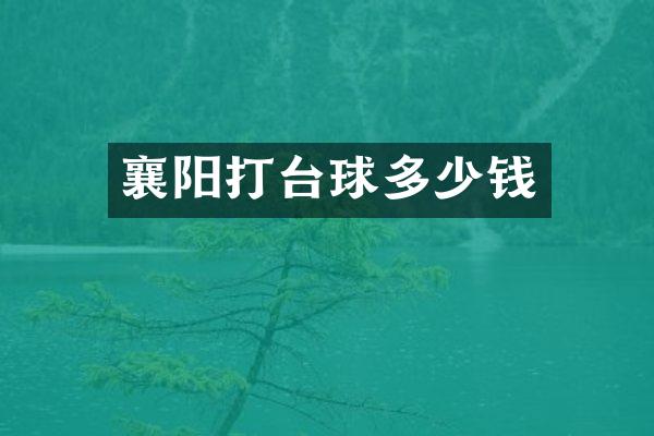 襄阳打台球多少钱