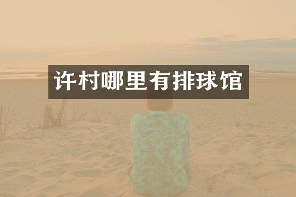 许村哪里有排球馆