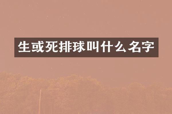 生或死排球叫什么名字
