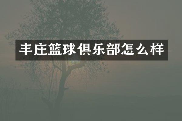 丰庄篮球俱乐部怎么样