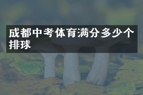 成都中考体育满分多少个排球