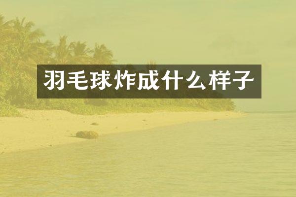 羽毛球炸成什么样子