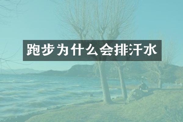 跑步为什么会排汗水