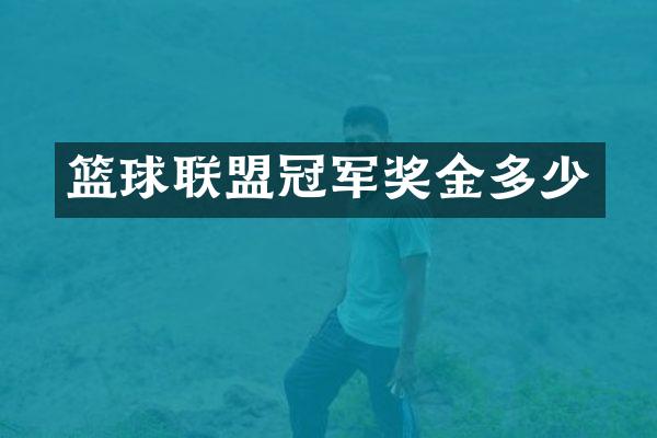 篮球联盟冠军奖金多少