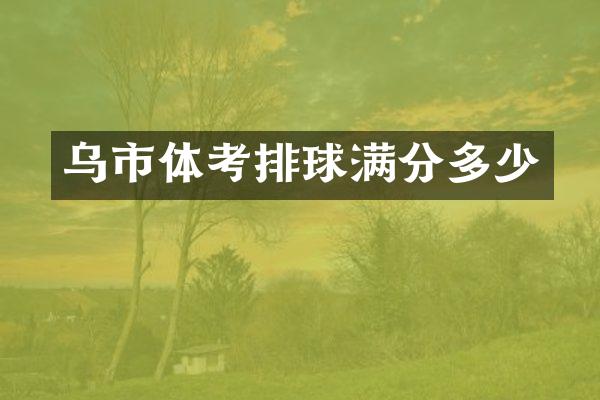 乌市体考排球满分多少