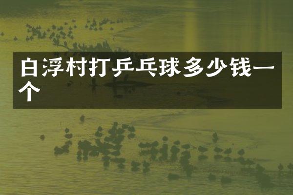 白浮村打乒乓球多少钱一个
