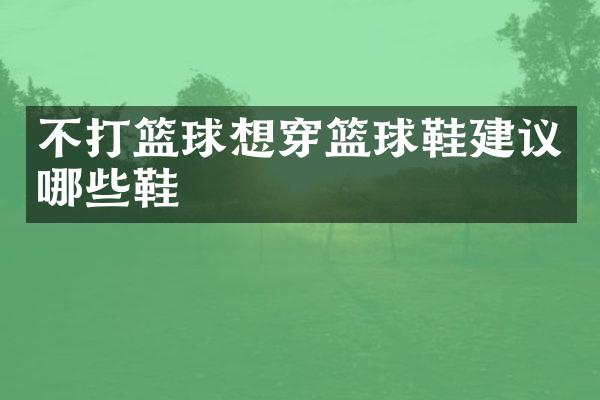 不打篮球想穿篮球鞋建议哪些鞋