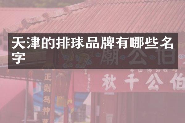 天津的排球品牌有哪些名字