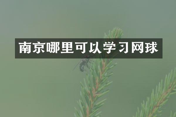 南京哪里可以学习网球