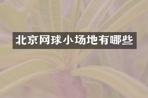 北京网球小场地有哪些