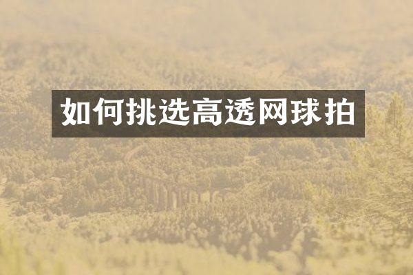 如何挑选高透网球拍