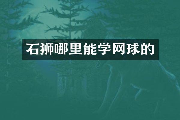 石狮哪里能学网球的