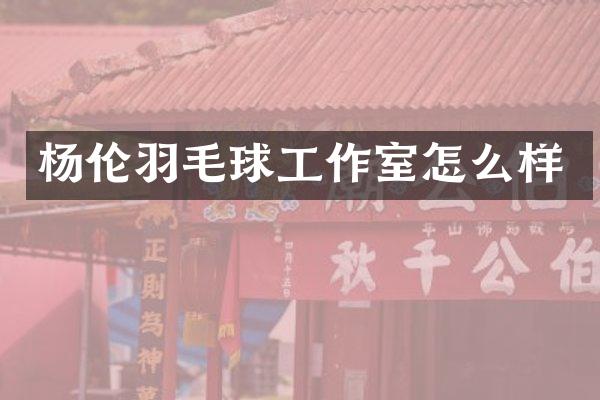 杨伦羽毛球工作室怎么样