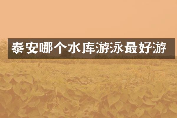 泰安哪个水库游泳最好游