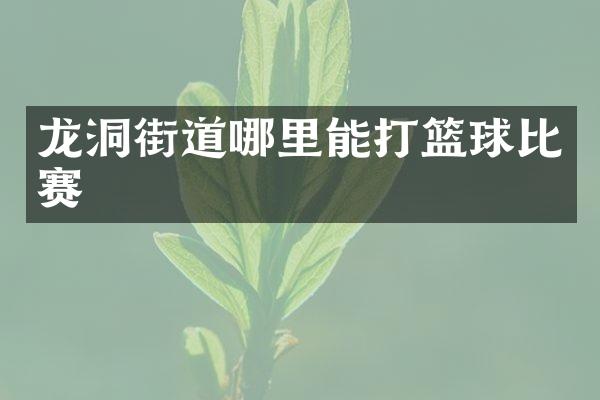 龙洞街道哪里能打篮球比赛