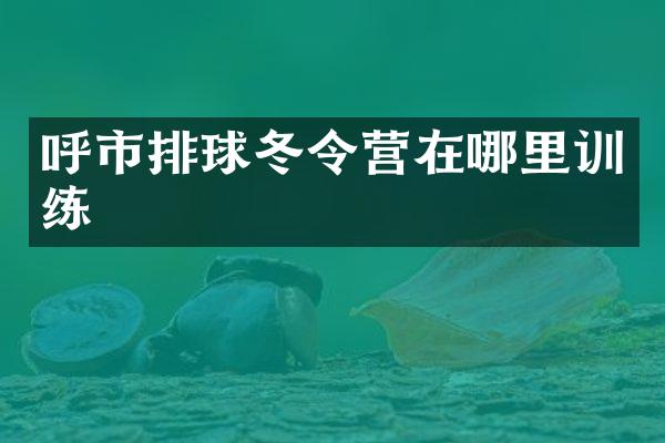 呼市排球冬令营在哪里训练