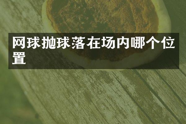 网球抛球落在场内哪个位置