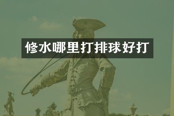 修水哪里打排球好打