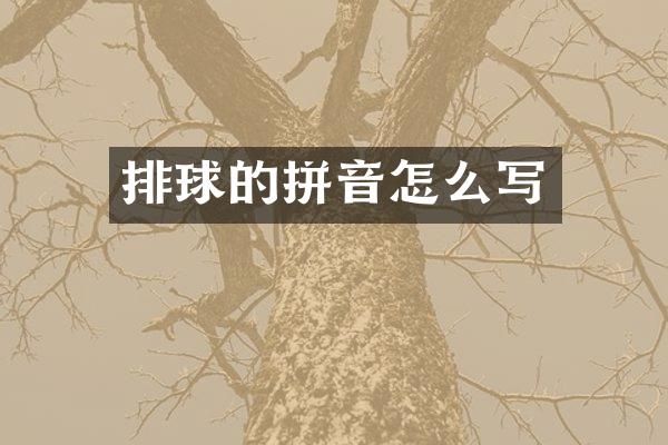 排球的拼音怎么写