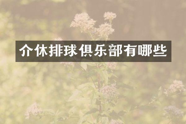 介休排球俱乐部有哪些