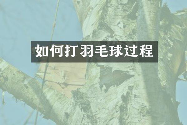 如何打羽毛球过程