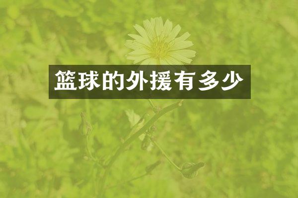 篮球的外援有多少
