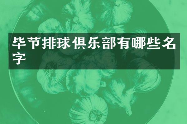 毕节排球俱乐部有哪些名字