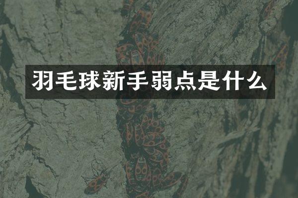 羽毛球新手弱点是什么