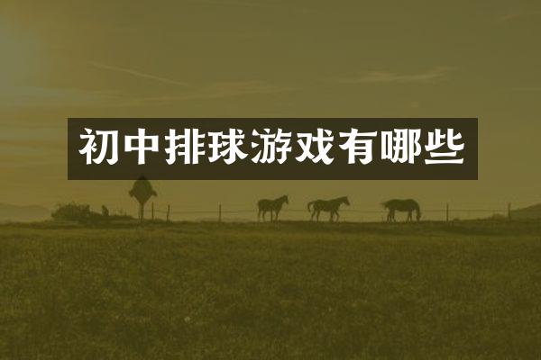 初中排球游戏有哪些