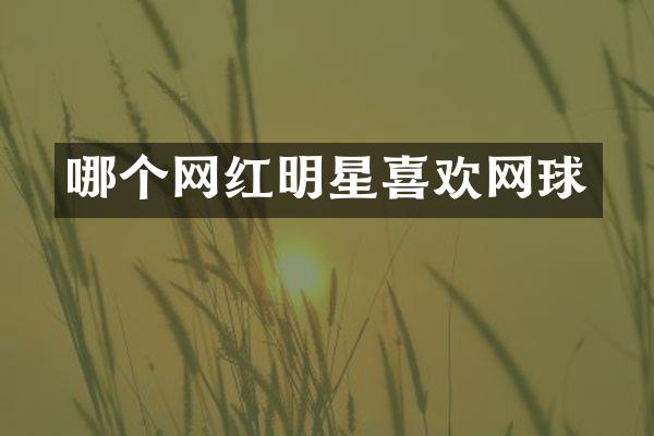 哪个网红明星喜欢网球