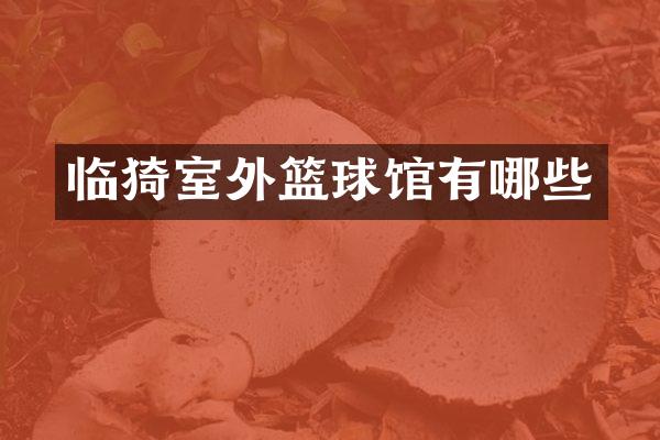 临猗室外篮球馆有哪些