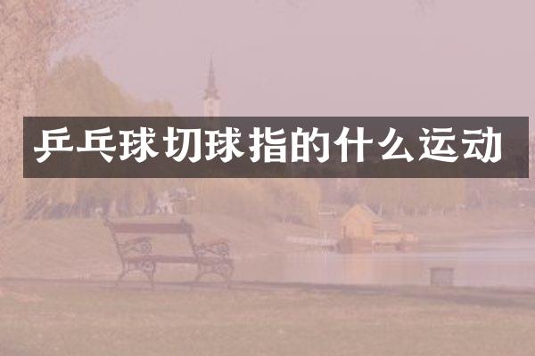 乒乓球切球指的什么运动
