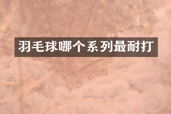 羽毛球哪个系列最耐打
