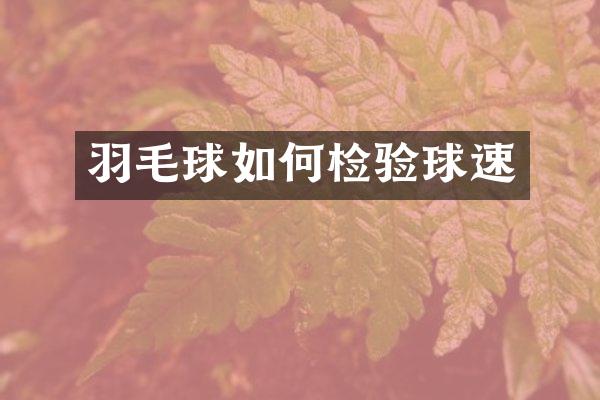 羽毛球如何检验球速