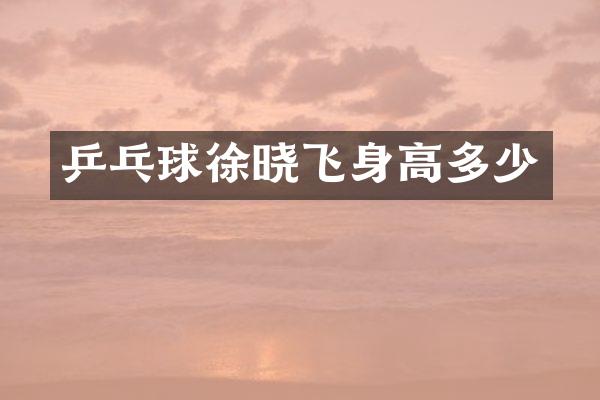 乒乓球徐晓飞身高多少